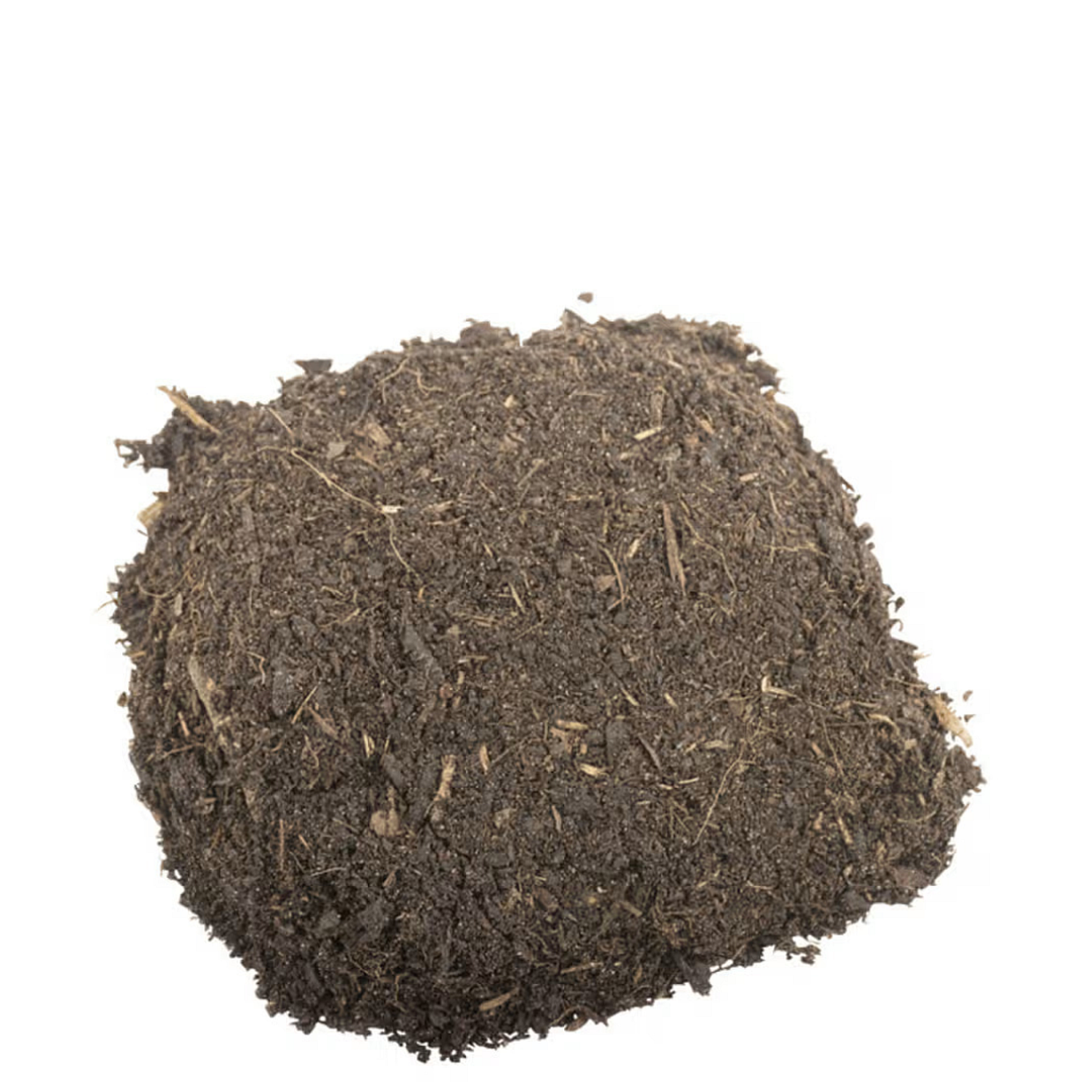 einheimisches saatgut Wildapfel Samen kaufen – Heimisches Forst-Saatgut main image 0
