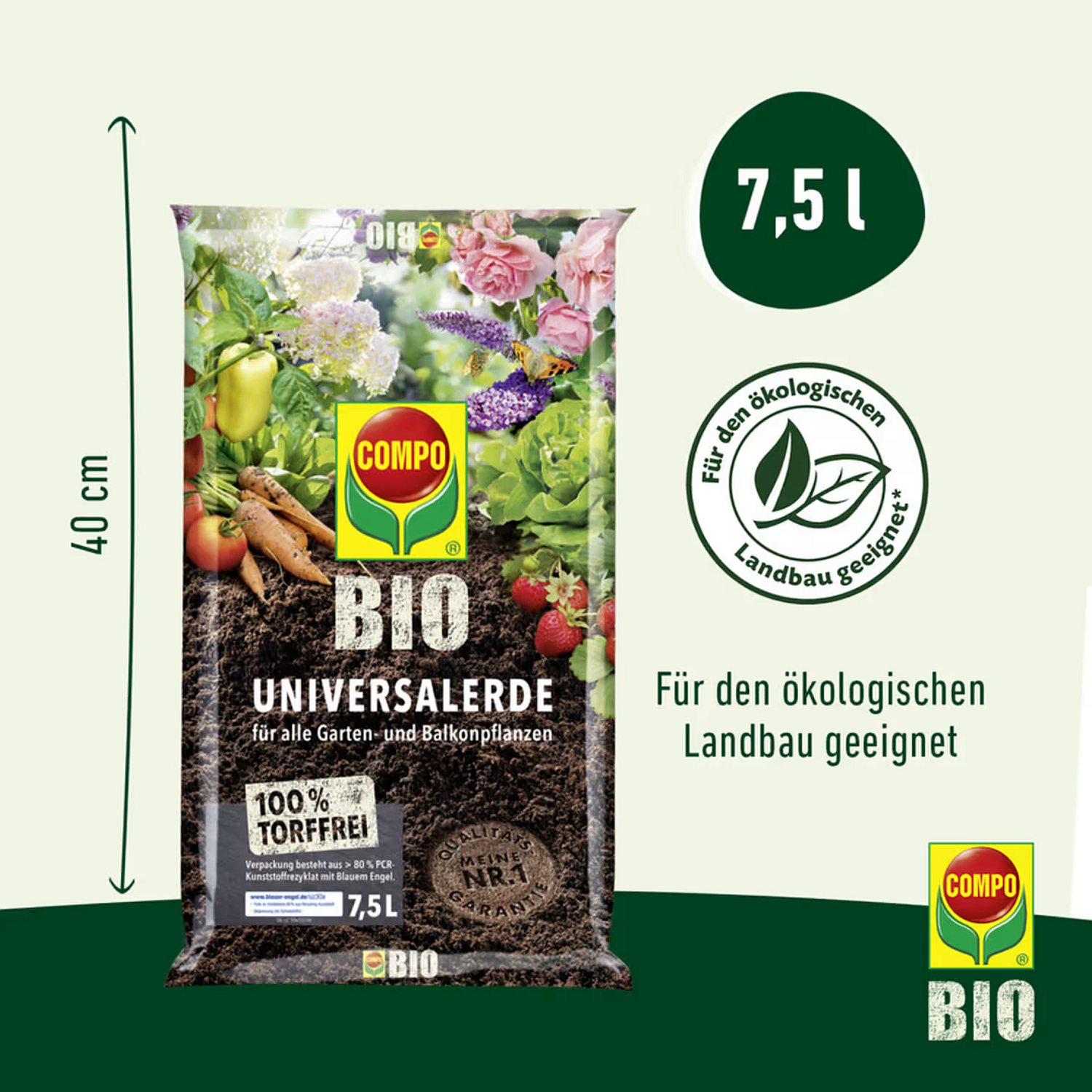 bio saatgut bienenweide dm Bio Saatgut-Box „Bienenbuffet“ Blumensamen main image 1