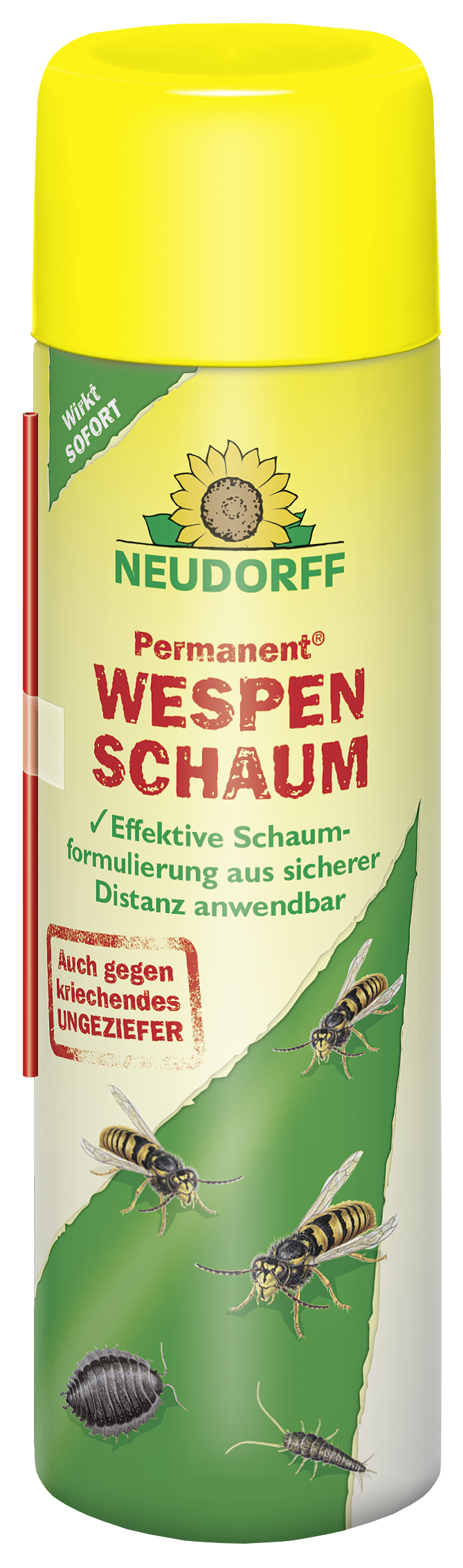 karotten saatgut 5m Saatband mit Karotten Samen - Nantaise 2