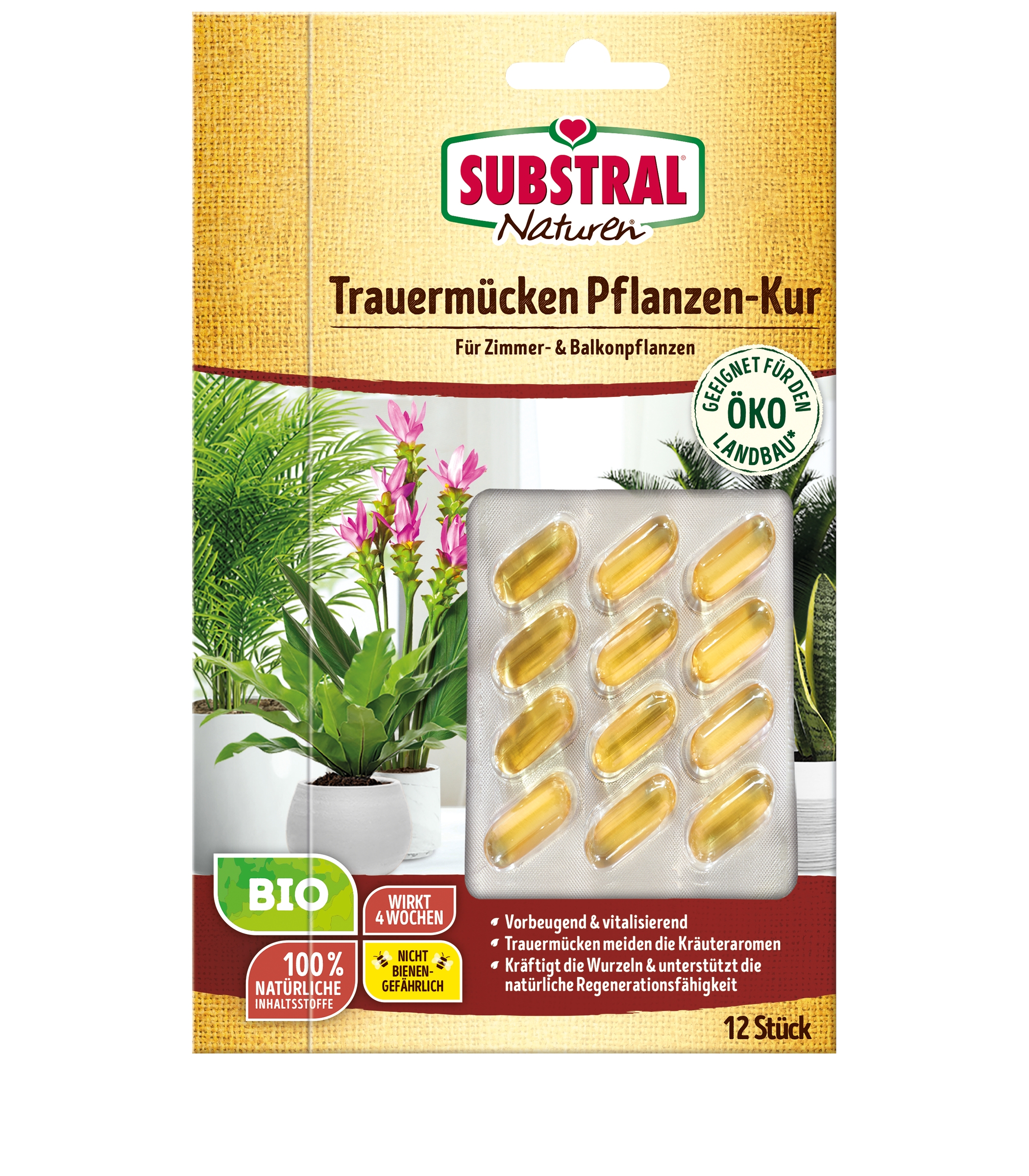 elefantenknoblauch saatgut Elefantenknoblauch 250 g in der Tüte – Alb-Knoblauch main image 1