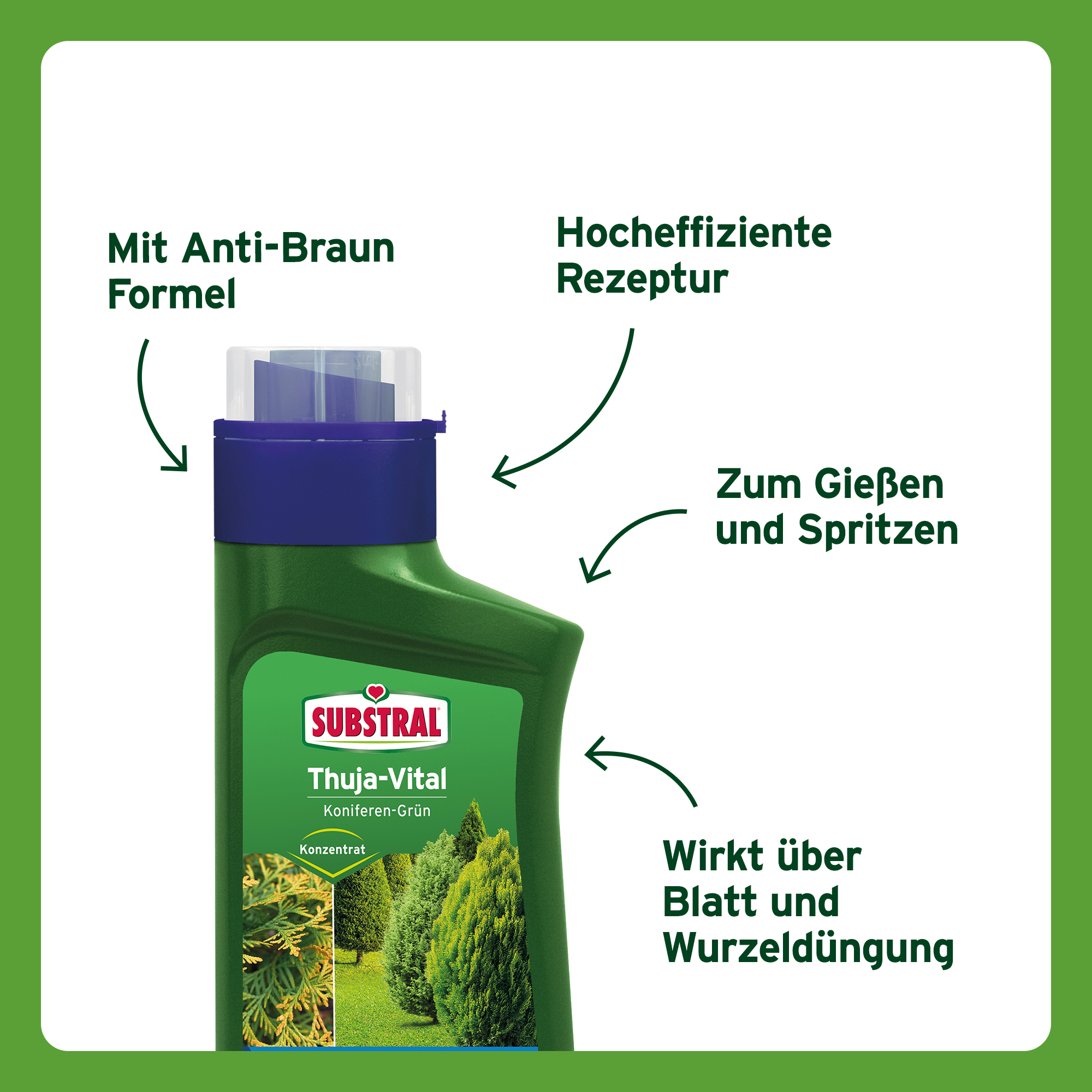SUBSTRAL Thuja-Vital, 500 ml | Oleandershop