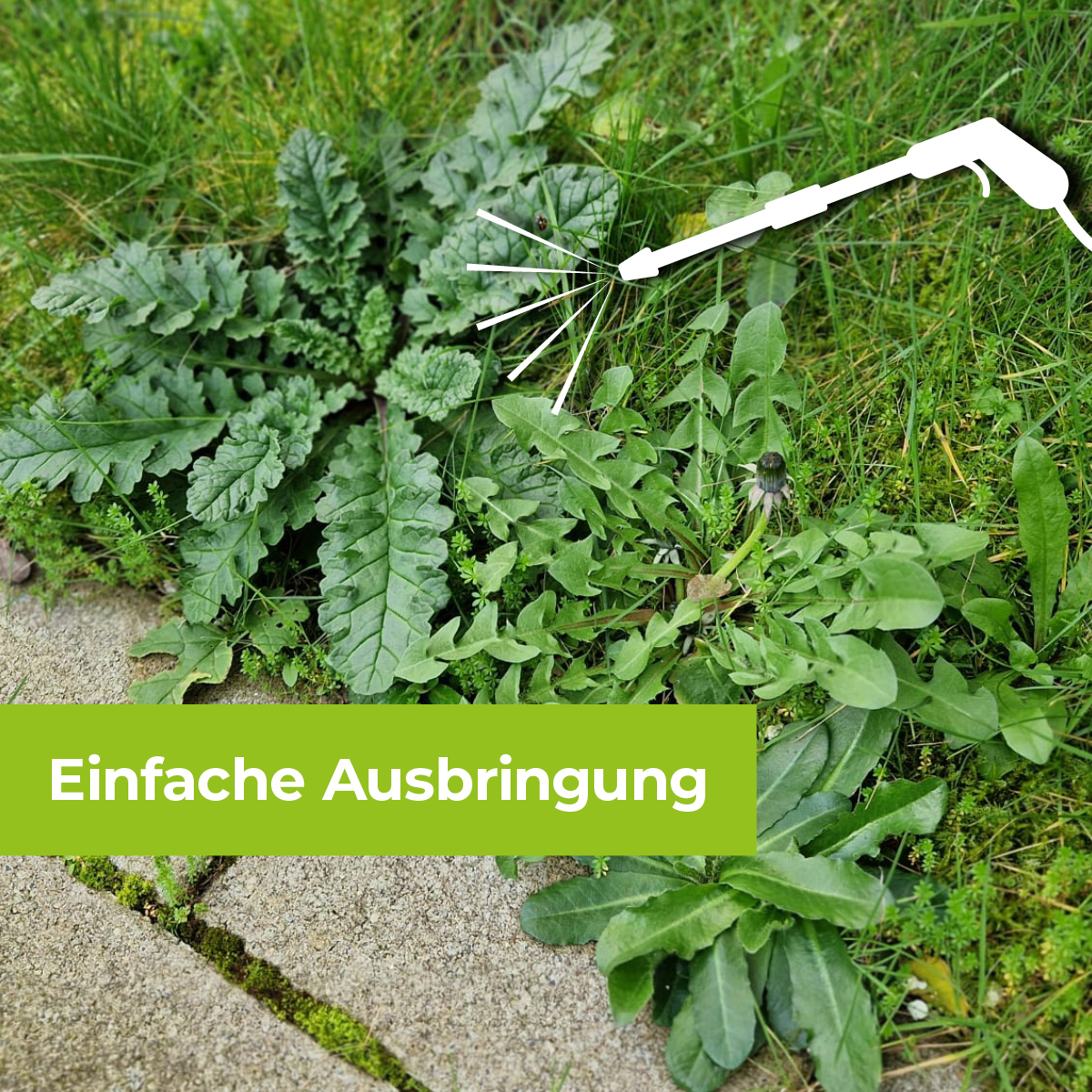 PROTECT GARDEN ® Turboclean Weed Free, 1000 Ml IL - Foto 3