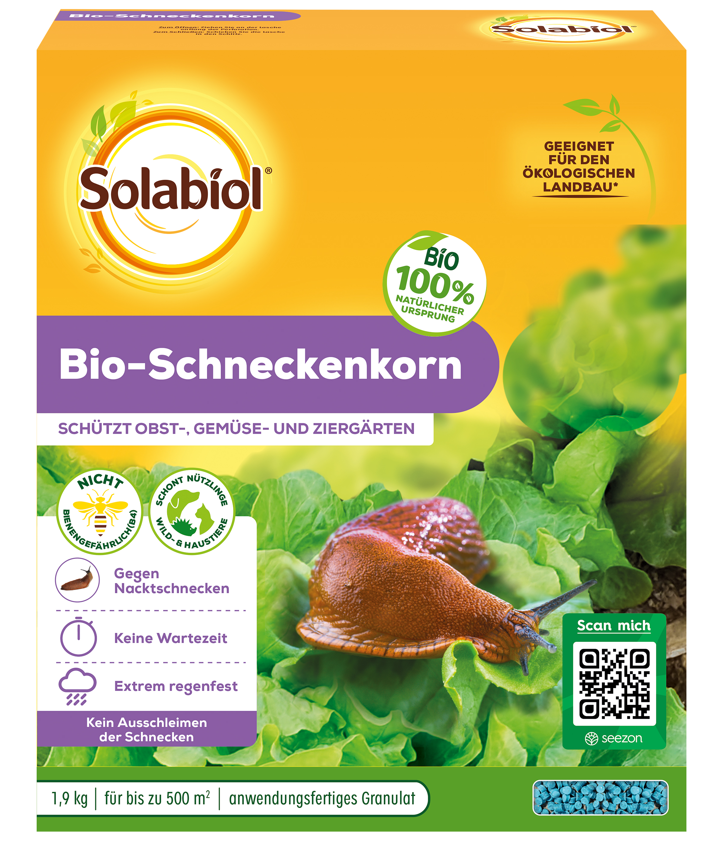 sonnenblumen saatgut kaufen Saatgut-Set Sonnenblumen online Gartenpflanze kaufen main image 1