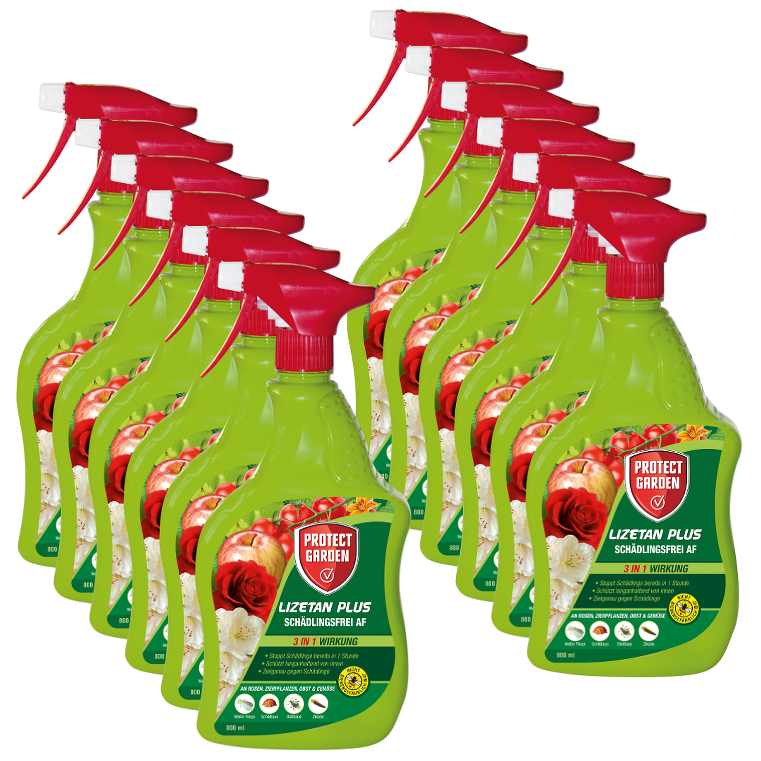 compo buchsbaumdnger Purgrn Buchsbaumdnger 1 kg