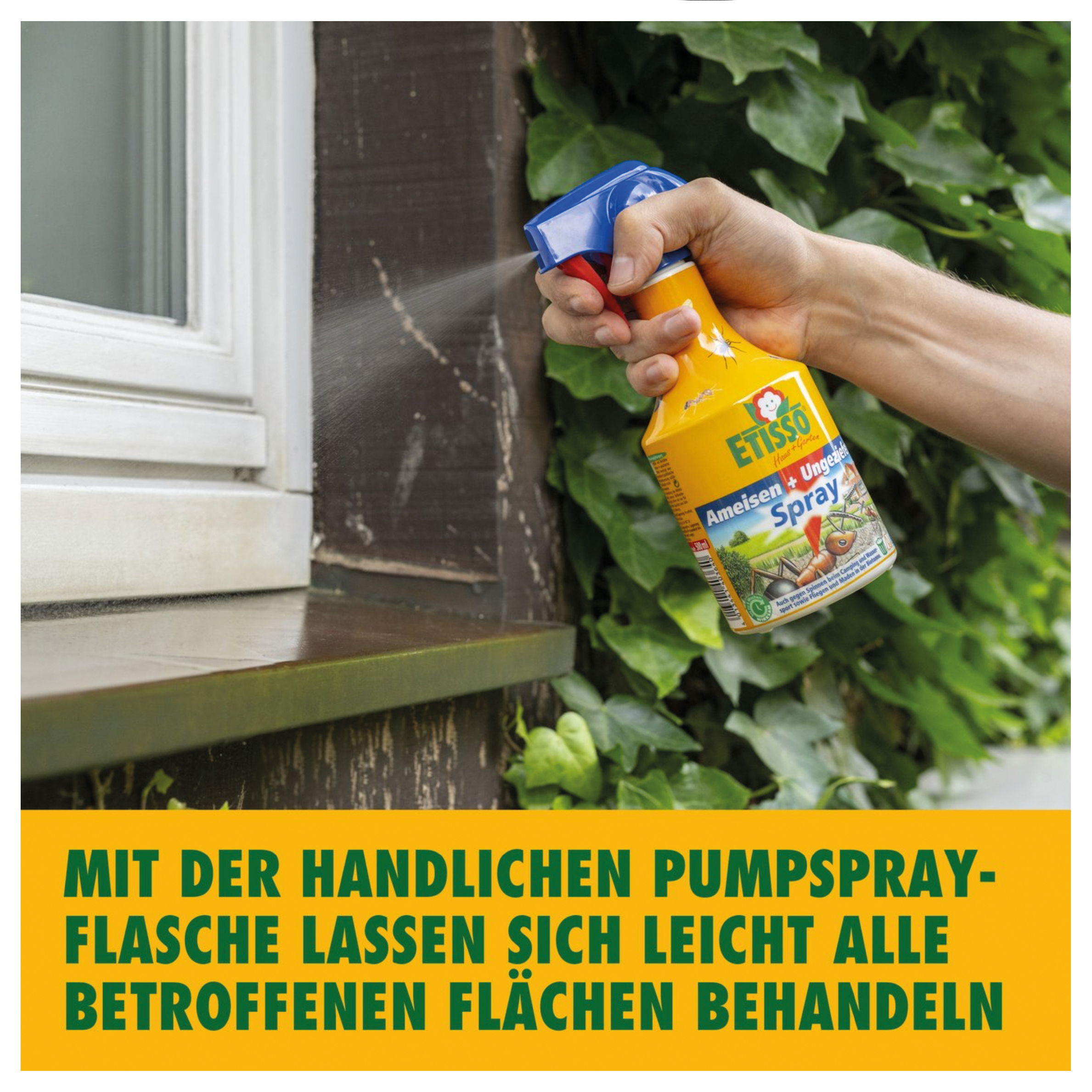 Sparset: 3 x ETISSO Ameisen & Ungeziefer Spray, 500 ml | Oleandershop