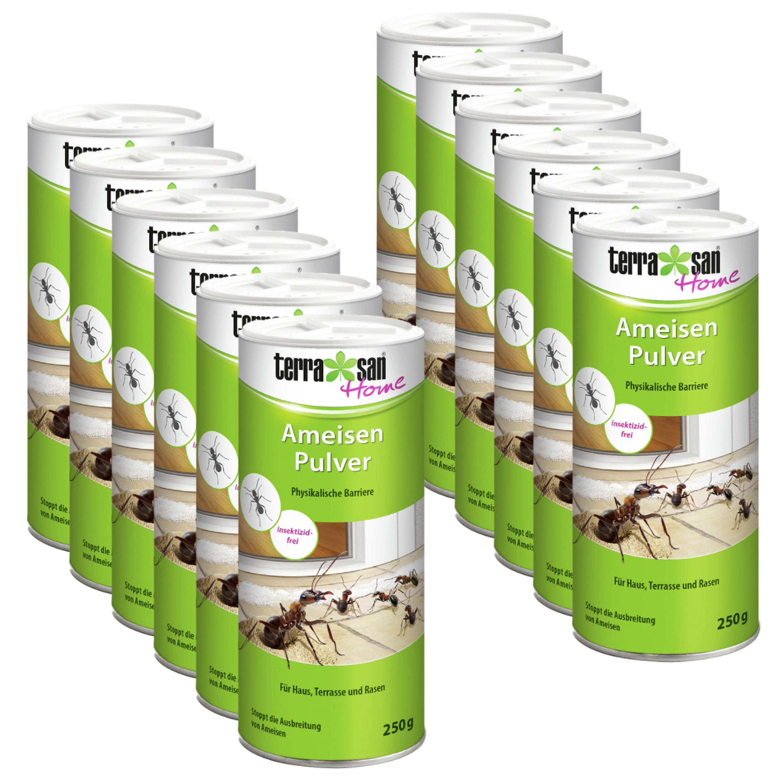 Sparset: 12 x TERRASAN HOME Ameisen Pulver, 250 g | Oleandershop