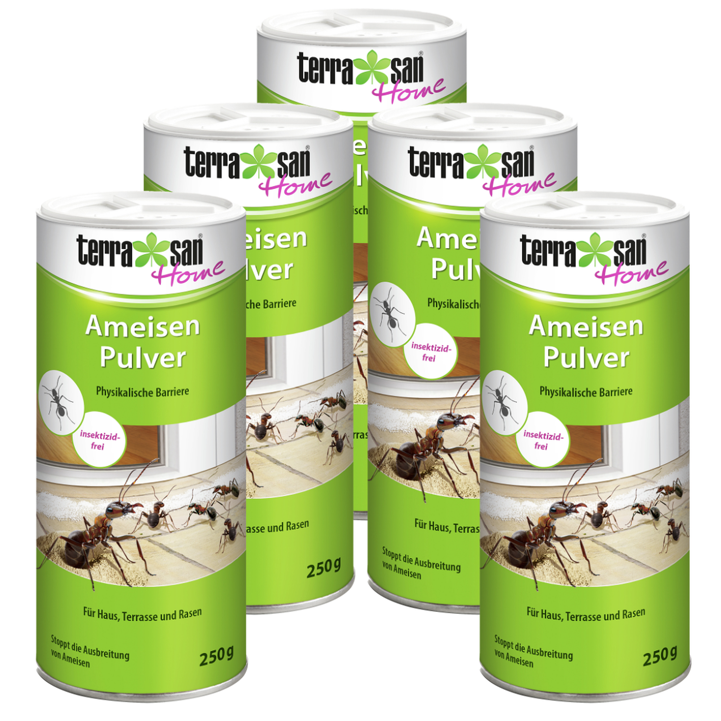 Sparset: 5 x TERRASAN HOME Ameisen Pulver, 250 g | Oleandershop