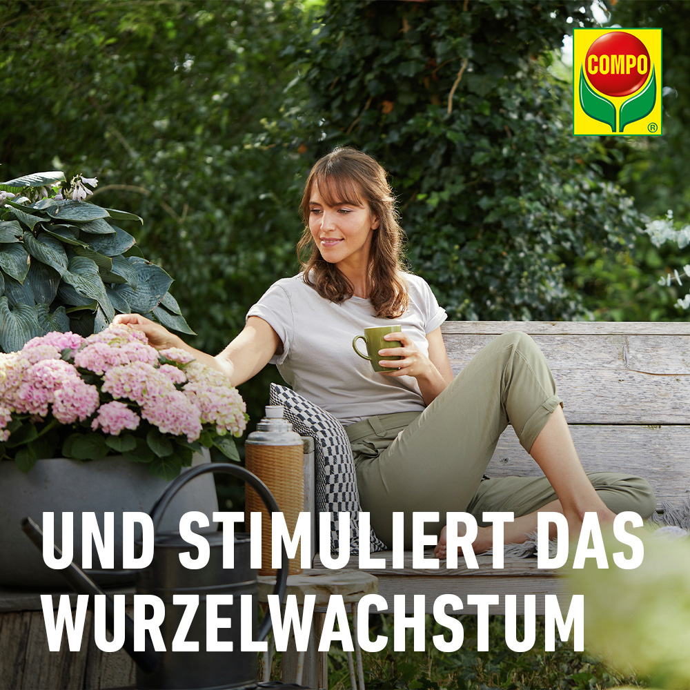COMPO Hortensien- und Kameliendnger, 1 Liter | Oleandershop