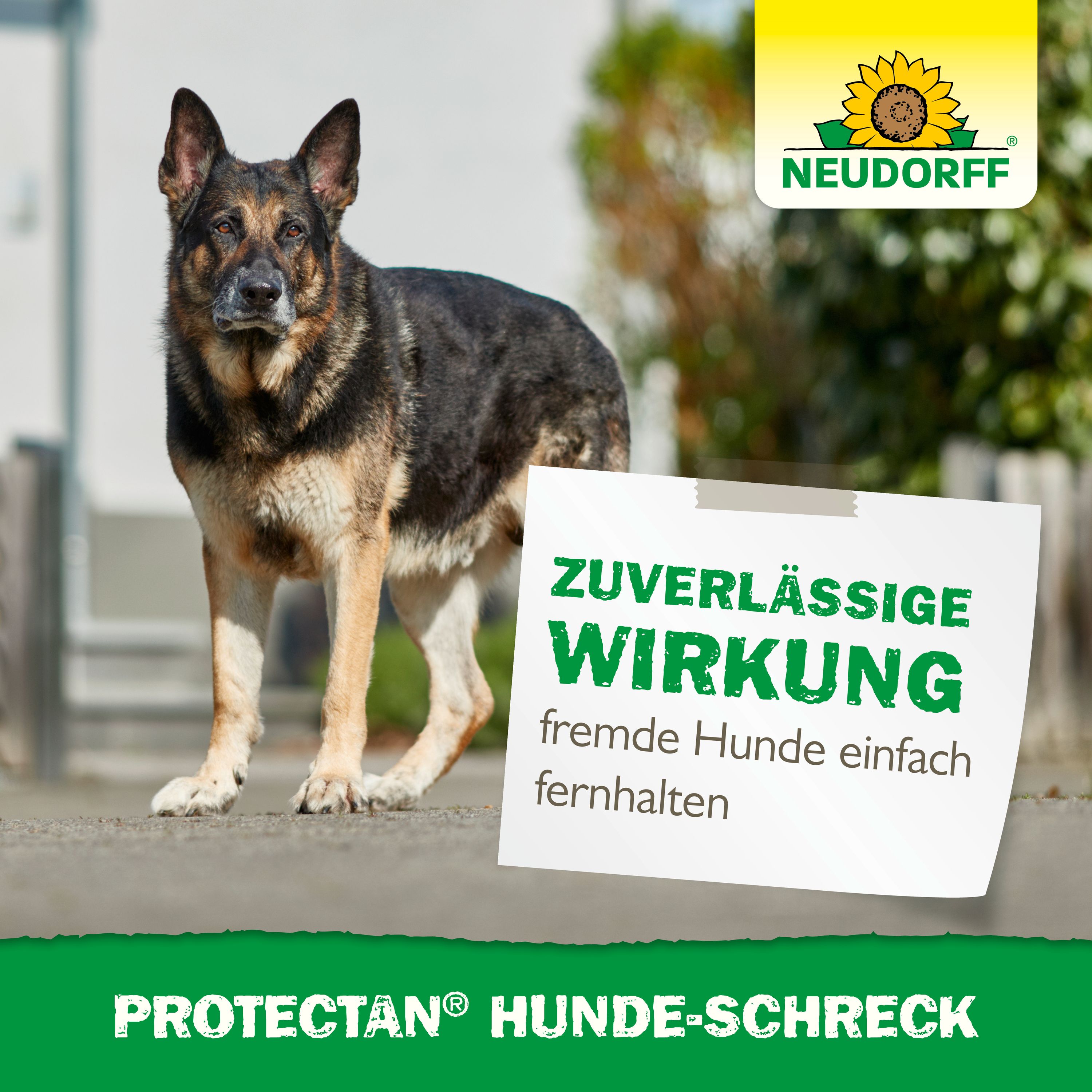 NEUDORFF Protectan Hunde-Schreck, 300 g | Oleandershop