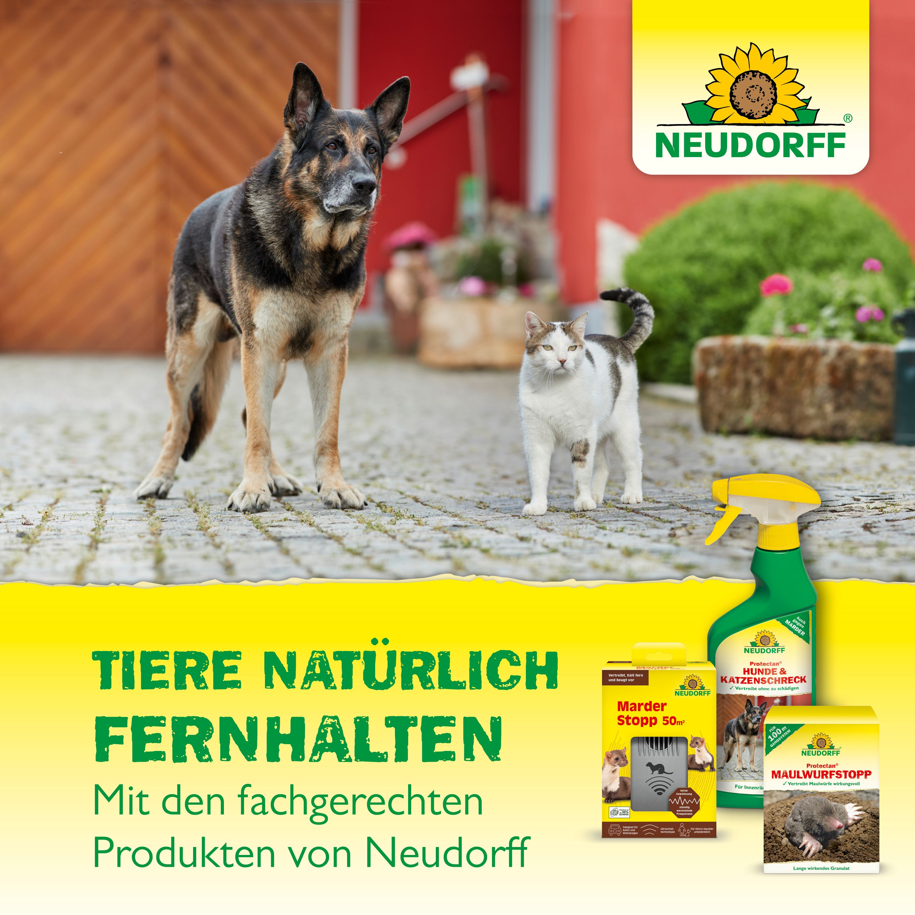 NEUDORFF Protectan Hunde-Schreck, 300 g | Oleandershop