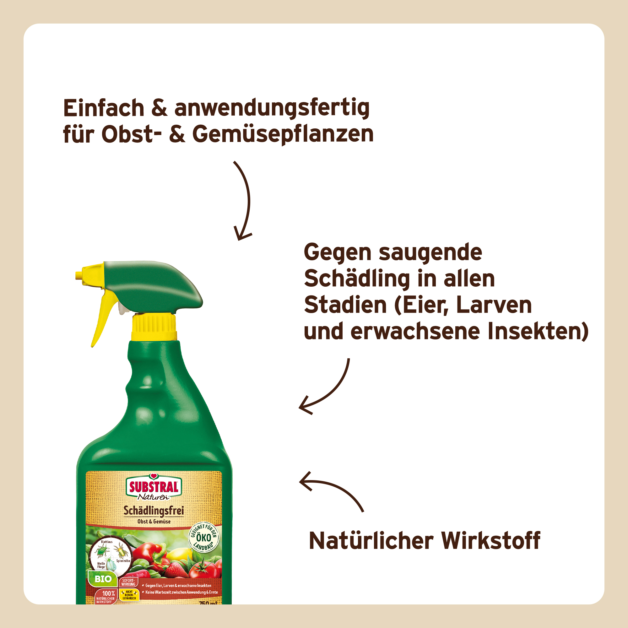 künstliche rosenblätter 1200 stück Künstliche Rosenblätter, Deko Rosenblätter Rot, Rosenblätte –  kunstblumenshop