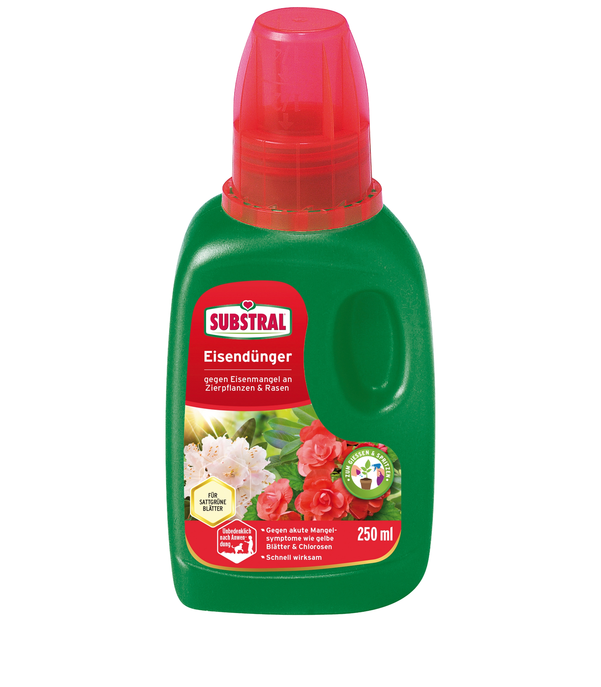 rispenhortensie pflanzen und düngen Purgrün Rispenhortensie-Dünger 1 Liter main image 0