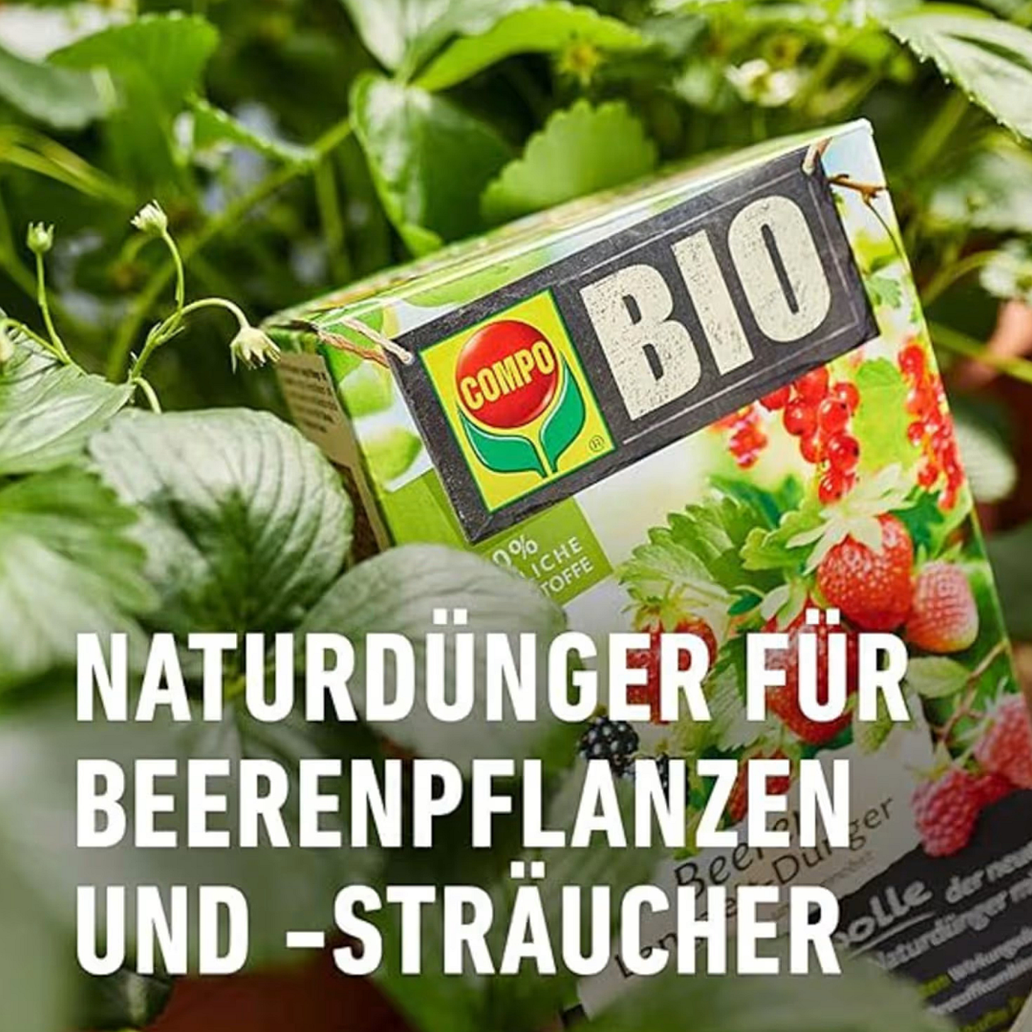 dünger natürlich NIRA Gründach-Dünger 5 kg Eimer – Schweng Shop main image 0