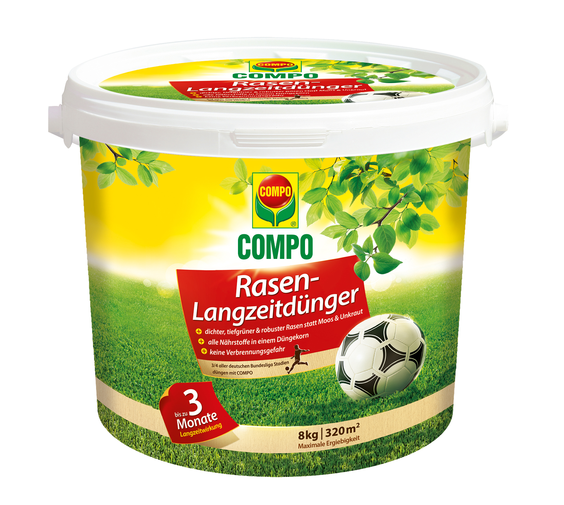 knoblauch saatgut Bärlauch Saatgut Wilder Knoblauch für Gart Gartenpflanze kaufen main image 1