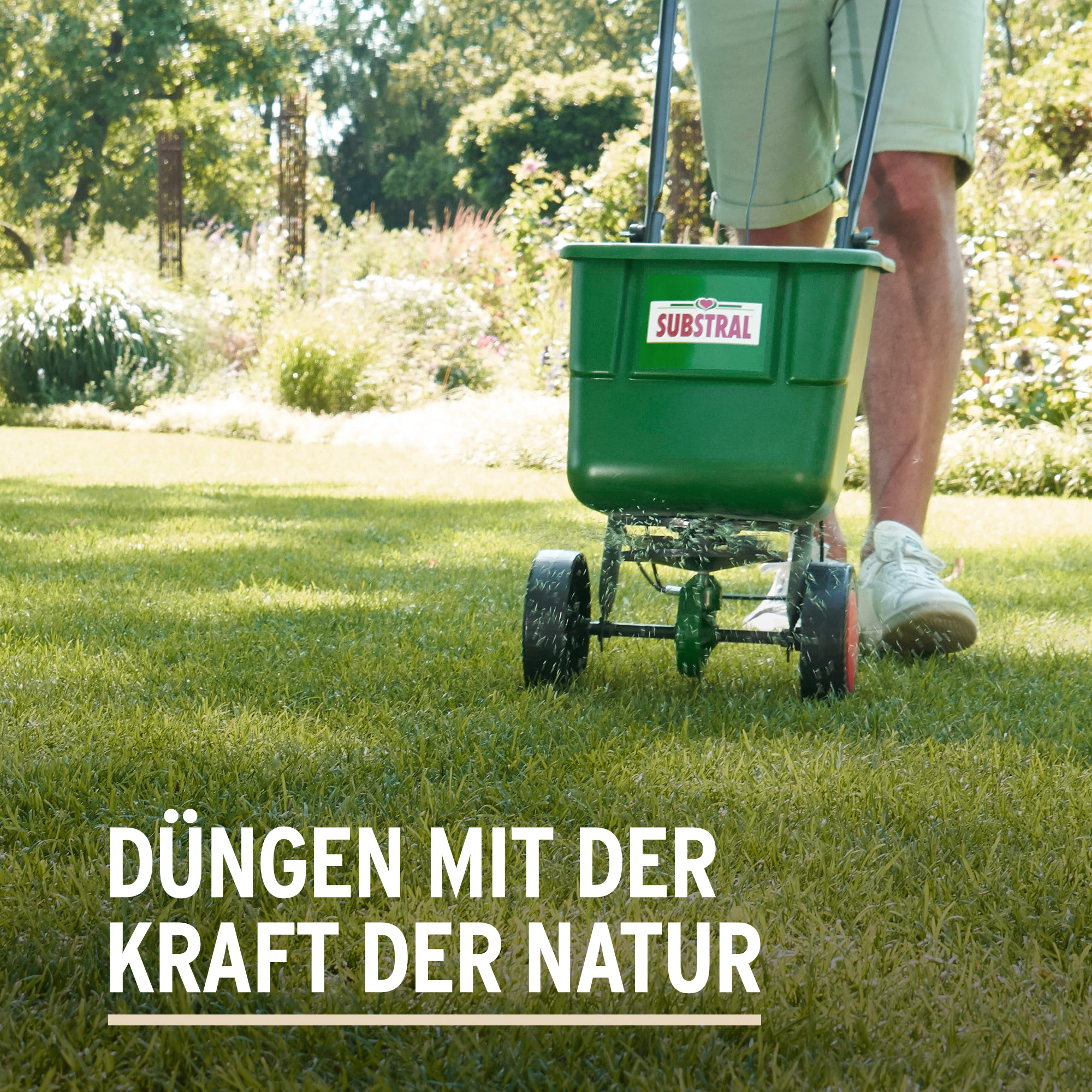 SUBSTRAL Naturen Rasendnger BIO, 20 kg fr 500 m | Oleandershop