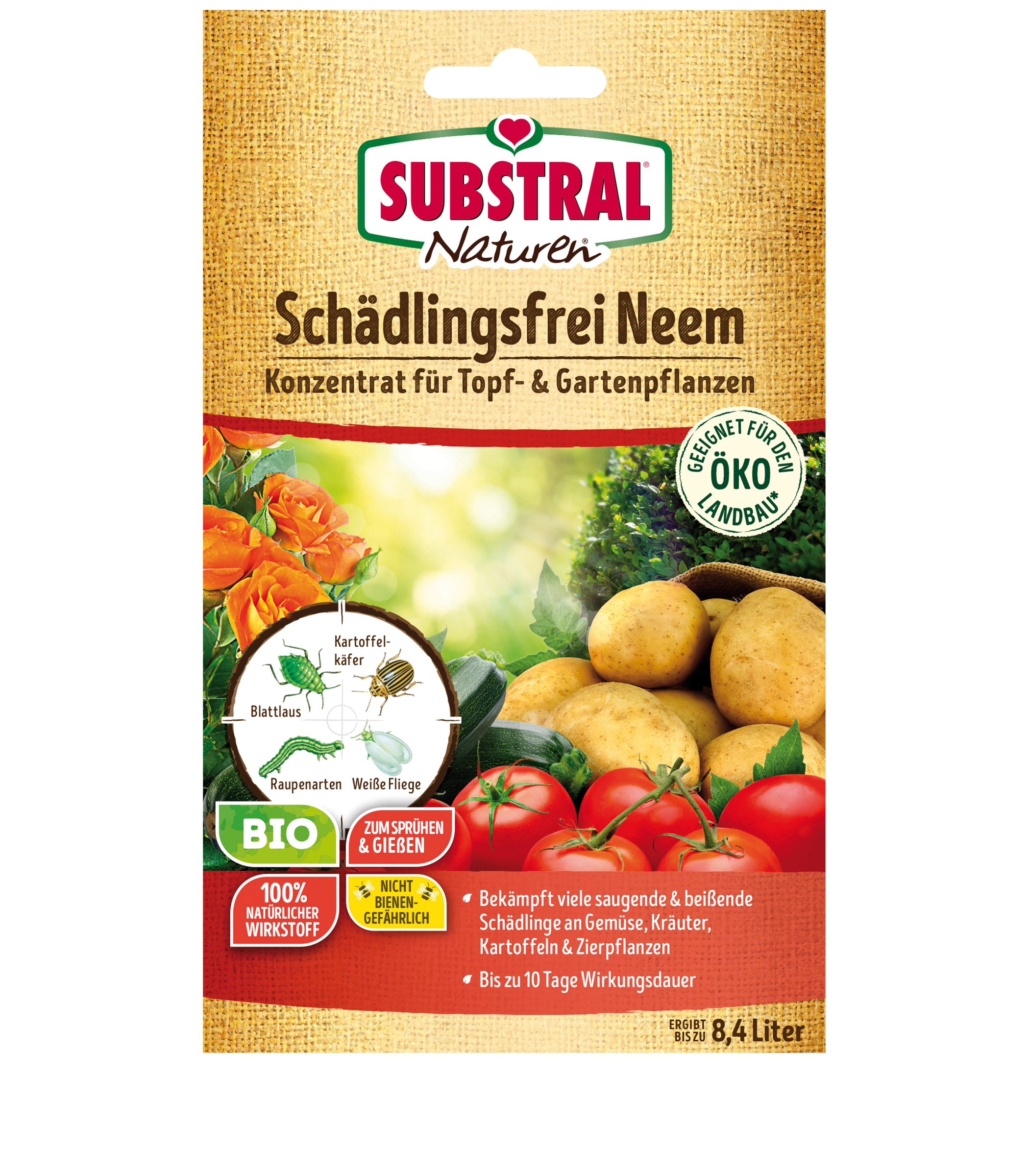 paprika saatgut gewinnen BIO Paprika Samen (Golden California Wonder) main image 1