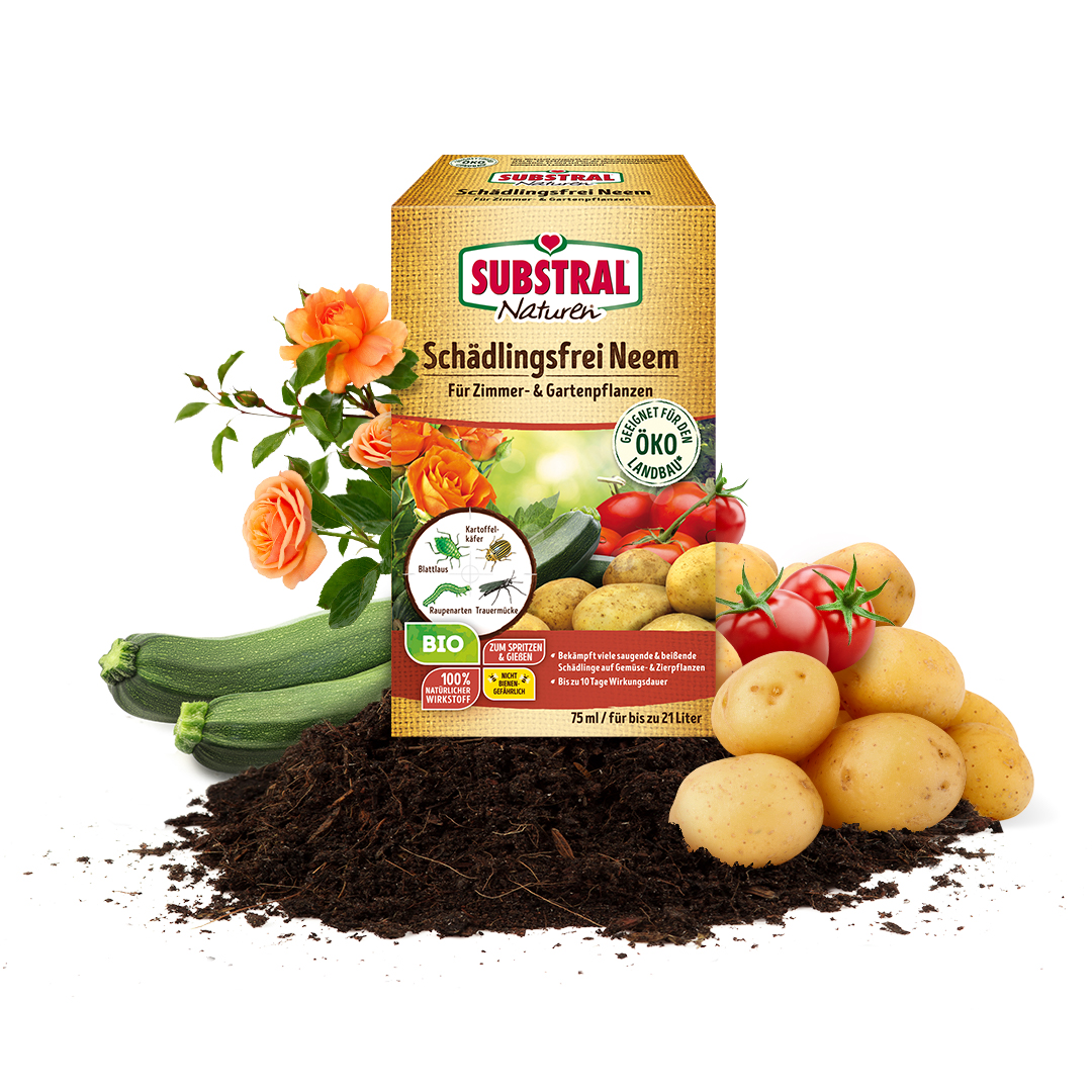 künstliche balkonblumen Künstlicher Blumenkasten