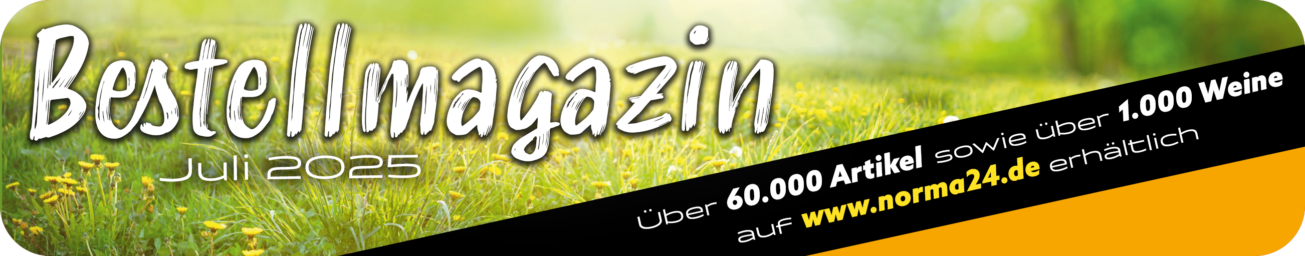 Bestellmagazin Juli 2025