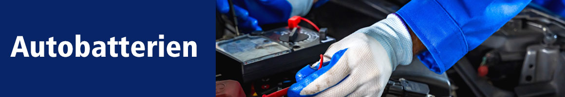 Kategorie Autobatterien