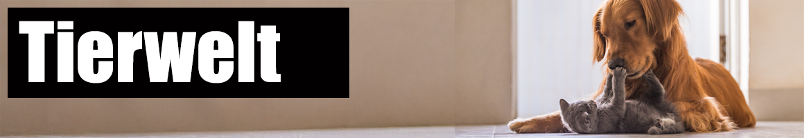 Tierwelt