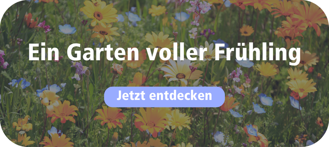 Kategorie Frühling im Garten