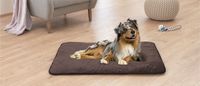Roy Wasserdichte Hundedecke, Gr.L, ca.70x100cm