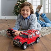RC-Fahrzeug, Maßstab 1 : 16, versch. Modelle