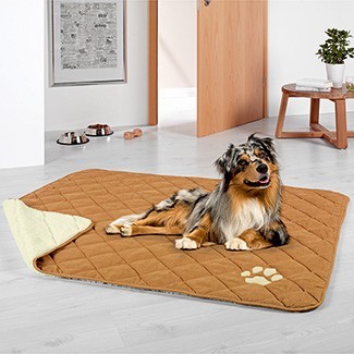 Miniaturansicht des Produkts