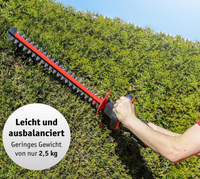 Li-Ion- Akku- Heckenschere 20 V