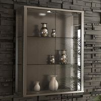 Sammelvitrine Udina mit Beleuchtung Silber