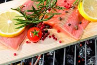 Grillbretter aus Zedernholz 4er Set