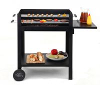 Chill&Grill Holzkohlengrill "Lambada"