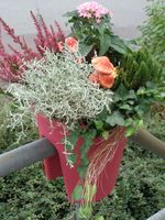 Geländerblumentopf Flowerclip, 3er Set, beere