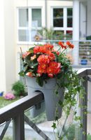 KHW Geländerblumentopf Flowerclip, 3er Set, grau