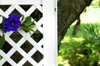 KHW Spalier 43 cm mit zwei Erdspießen, 2er Set, weiß