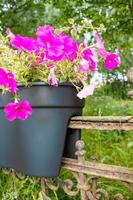 KHW Geländerblumentopf Flowerclip XL, 2er Set, anthrazit