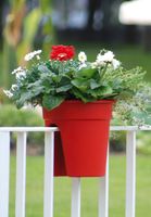 Geländerblumentopf Flowerclip, 3er Set, rot