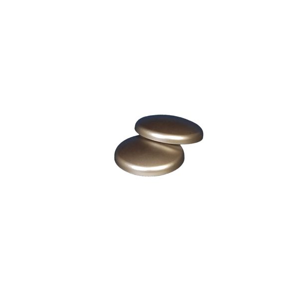Dekomagnet Magnet Kühlschrankmagnet Pinnwandmagnet, Ø 30 mm, edelstahl-optik, 2 Stück