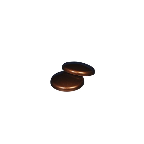 Dekomagnet Magnet Kühlschrankmagnet Pinnwandmagnet, Ø 30 mm, rost, 2 Stück