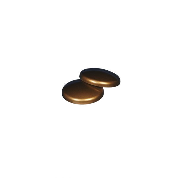 Dekomagnet Magnet Kühlschrankmagnet Pinnwandmagnet, Ø 30 mm, messing-antik, 2 Stück