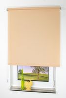Seitenzugrollo, Kettenzugrollo, 240 x 102 cm, sand