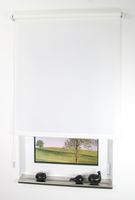 Seitenzugrollo, Kettenzugrollo, 240 x 102 cm, weiß