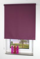 Seitenzugrollo, Kettenzugrollo, 240 x 92 cm, brombeere