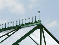 Firstkrone, grün