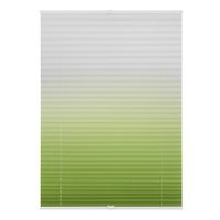 Plissee Klemmfix, ohne Bohren, verspannt, Farbverlauf - Grün Weiß, 80 cm x 130 cm (B x L)