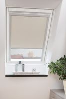 Dachfensterrollo Skylight, Thermo, Verdunkelung - Creme, 38,3 x 74,0 cm (C04) (B x L)