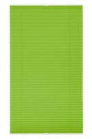 Plissee Klemmfix, ohne Bohren, verspannt - Grün, 120 cm x 130 cm (B x L)