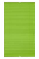 Plissee Klemmfix, ohne Bohren, verspannt - Grün, 80 cm x 210 cm (B x L)