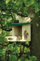 Eichhß´rnchen-Futterstation, Kiefer