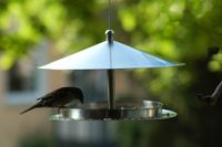 Design Vogelhaus "Silberglanz", mit Draht zum Aufhängen